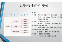 모발학 - 모발의 생태 영양-9