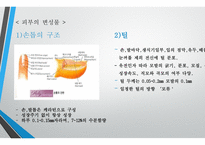 모발학 - 모발의 생태 영양-11
