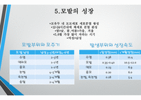 모발학 - 모발의 생태 영양-13