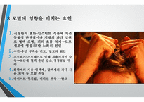 모발학 - 모발의 생태 영양-19