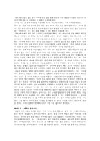 허클베리 핀의 모험(마크트웨인)-5