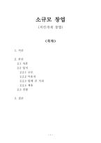 [경영학 원론] 소규모 창업(치킨가게 창업) - 자본, 입지, 경험-1