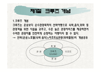 제1장크루즈개념, 제2장 크루즈 발달과정-2
