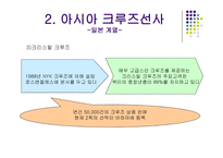 대형크루즈선사,선사의분류-17
