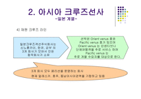 대형크루즈선사,선사의분류-18