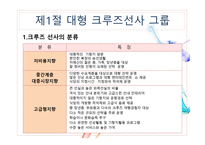크루즈 공급환경(크루즈 선사)-4