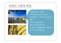 하와이 크루즈 사례연구-6