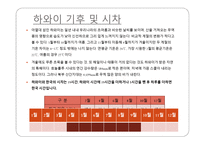 하와이 크루즈 사례연구-8
