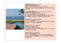 하와이 크루즈 사례연구-14