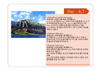 하와이 크루즈 사례연구-17