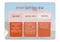 크루즈공급환경-선사의 분류, 크루즈 산업의..-5