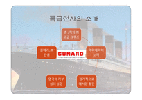크루즈공급환경-선사의 분류, 크루즈 산업의..-6