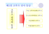 크루즈선사 등급-2