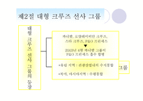 크루즈선사 등급-3