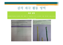 중도 장애아를 위한 활동 영역의 필요성-5