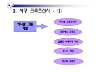 크루즈선사의 분류-7