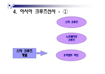 크루즈선사의 분류-16