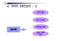 크루즈선사의 분류-19
