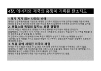 저탄소의 음모 레포트-13