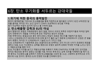 저탄소의 음모 레포트-16