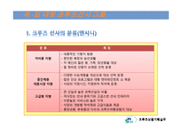 크루즈선사의 분류, 세계 3대 크루즈...-3