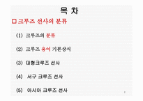 크루즈의 분류, 크루즈 용어의 기본상식-2