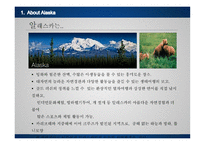 알래스카권역 크루즈 사례-9