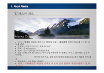알래스카권역 크루즈 사례-10