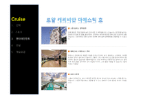 크루즈뉴스 - 월드컵도 보고 크루즈도 즐기고..-10