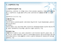 산업복지의 개념, 기능, 발달과정-5