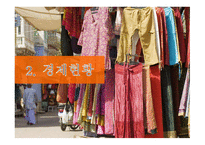 지역 연구 - 아시아 - 인도 경제, 정치-8