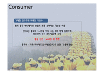 중국진출기업분석- 뽀로로-11