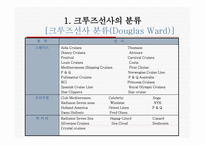 크루즈선사 그룹-5