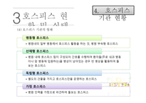 호스피스 노인복지론-17