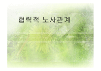 협력적 노사관계 형성의 배경, 노사협의제의 발전-1