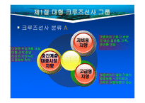 크루즈 공급환경 -대형크루즈그룹-3