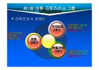 크루즈 공급환경 -대형크루즈그룹-4