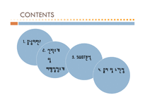 중남미란, 중남미권역-2