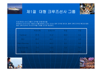 크루즈공급환경-대형크루즈선사그룹-8