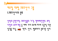 크루즈 상품기획실무 - 크루즈 선사-2