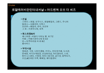 크루즈 상품 기획 실무-13