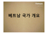 지역연구 아시아 베트남 국가 개요, 지리적 위치-4