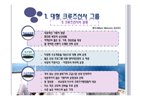 크루즈 공급환경, 크루즈 선사-3