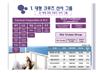 크루즈 공급환경, 크루즈 선사-5