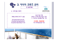 크루즈 공급환경, 크루즈 선사-20
