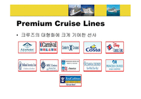 Cruise Lines 크루즈 라인-3