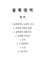 블록영역 - 교육적의의 연령별 적합한 블록 환경구성 주의점 규칙 수업계획안-1