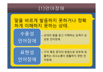 의사소통발달영역에 대한 교수방법-13