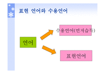 의사소통 발달과 지도 방법 - 정의와 이론...-11