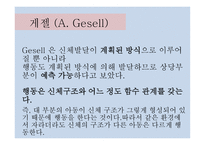 아동발달의 이론_ppt-4